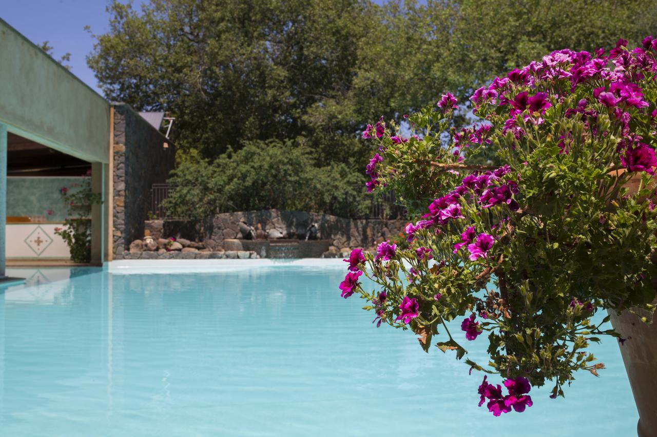 Country Hotel Mandra Edera Abbasanta ภายนอก รูปภาพ